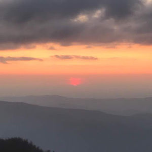 Meet your Posher, Marian